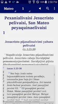 Guahibo - Bible android App screenshot 5